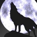 赎罪的西北狼海报