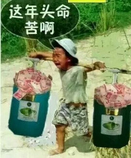 表哥来了😁主播照片