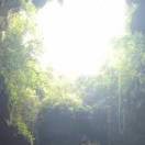 Wang维