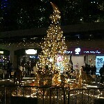 cdvbd