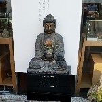 文文831116