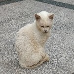 猜一下，我是哪个