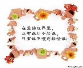 玫瑰花4113025主播照片