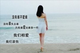 玫瑰花4113025主播照片