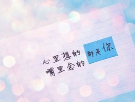 玫瑰花4113025主播照片
