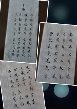 海鸽休息几天主播照片