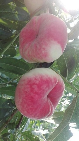 我花钱你受益主播照片