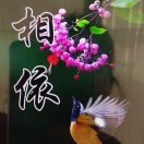 40dhjqtz!$海报