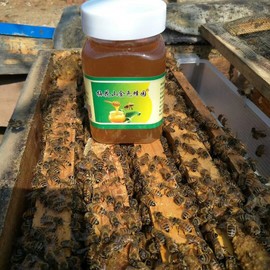 山东农副土特产品主播照片