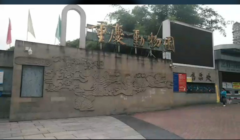 重庆70五妹的主播照片