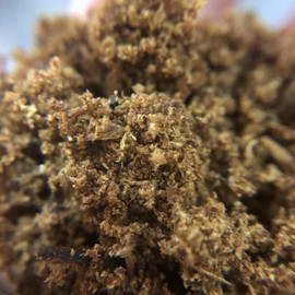 香之道沉香馆主播照片