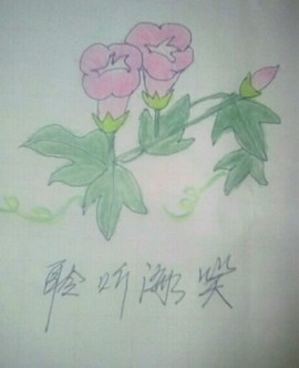 聆听海笑主播照片