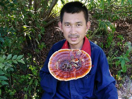 今生有缘q65主播照片