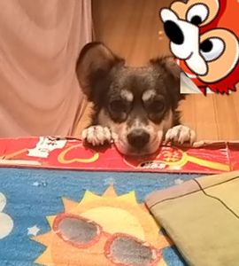 乖“我们的回忆，😘主播照片