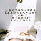 深圳軍哥的头像