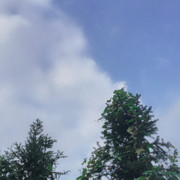 开心最重要吧