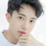 情断孤影