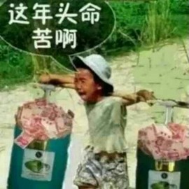不离哥✨主播照片