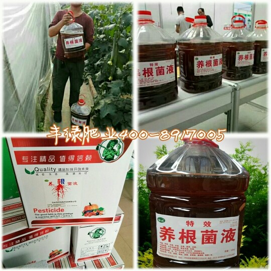 丰绿肥业主播照片