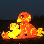 梦哥.com