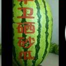 涛声依旧!3z