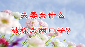 才子感情主播照片