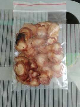 俏不争春，今晚休息主播照片