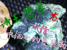 春华秋实2t主播照片