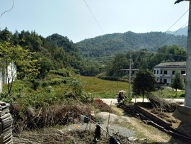 淏天、大自然哥主播照片