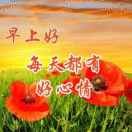小草wb