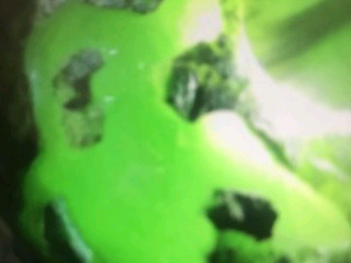 2019好运连连🎉的主播照片