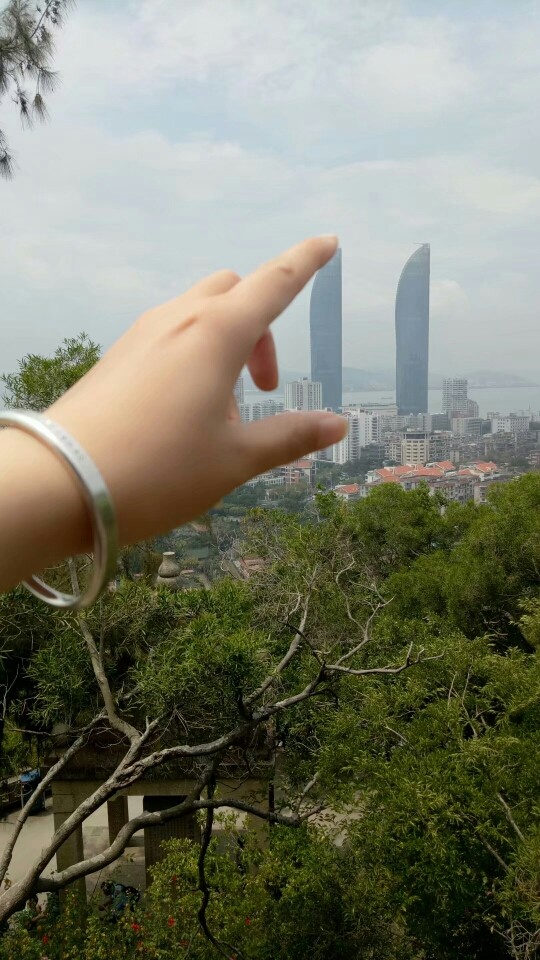 ✨零贞✨的主播照片