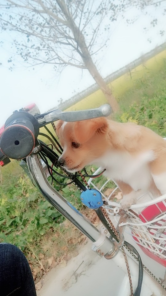 最爱卡卡⊙﹏⊙的主播照片