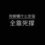 渡僧桥下的猫海报