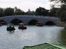 九零后小奋青主播照片