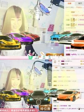 一只雁~主播照片