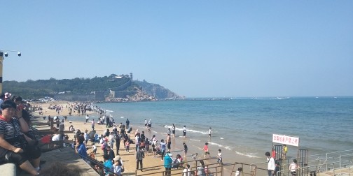 ❀龍叔的主播照片