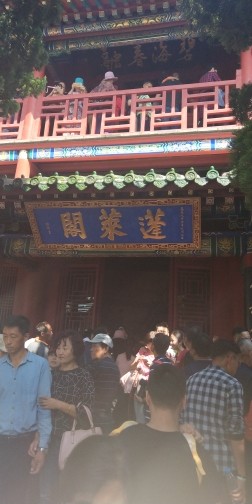 ❀龍叔的主播照片