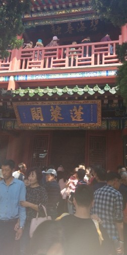 ❀龍叔主播照片
