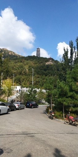 ❀龍叔主播照片