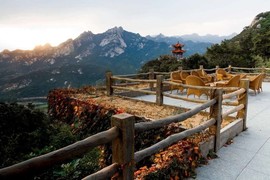 ❀龍叔主播照片