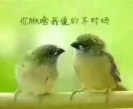 👼秋儿👼主播照片