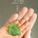 淡淡乡思味海报