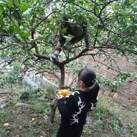 果果(平安好运)主播照片