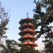 摇裤有点小了海报