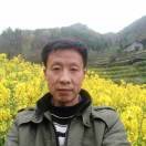 一帆风顺vvk
