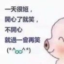w8海报