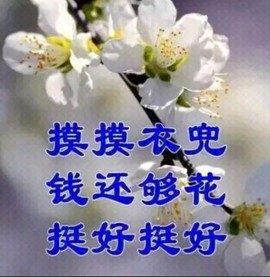 红点→AK：花贴心：主播照片