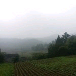 仁义光明主播照片