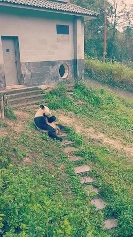 平安是福（1）主播照片